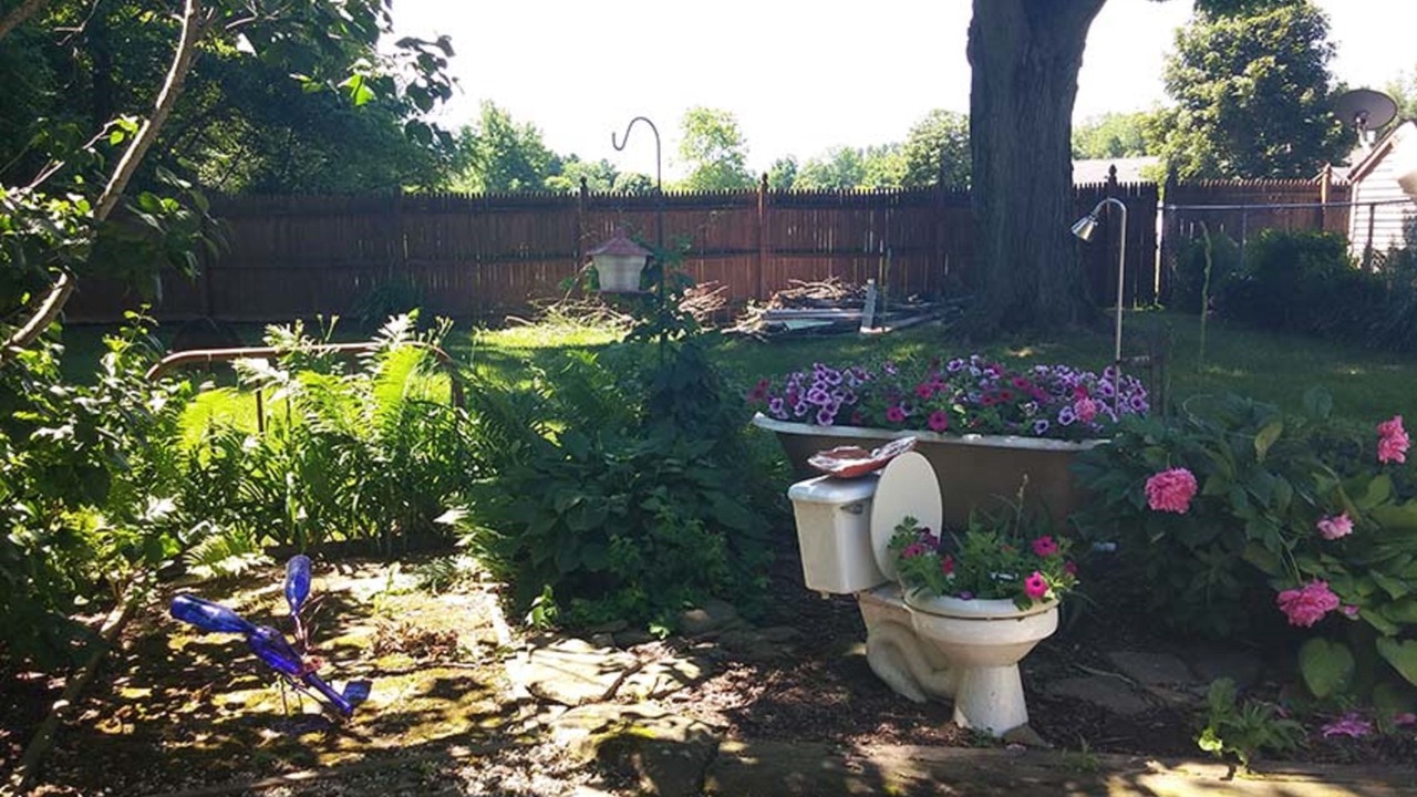 Photo of Outdoor in Springville