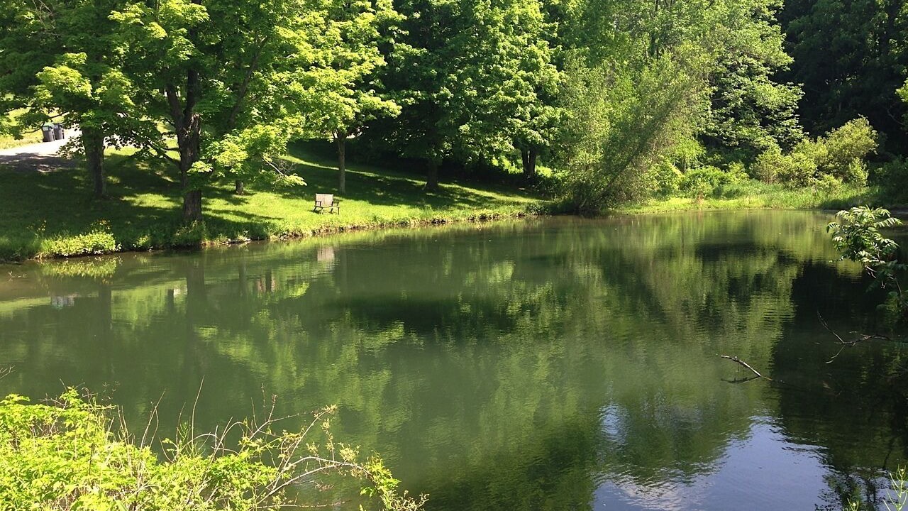 Photo of Others in Town of Copake