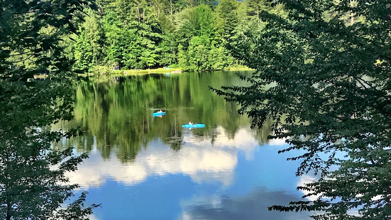 Photo of Others in Woodsville
