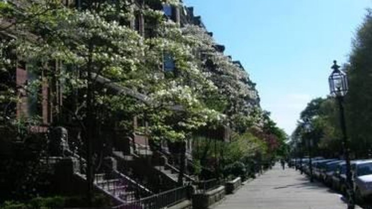 Photo of Outdoor in Back Bay East
