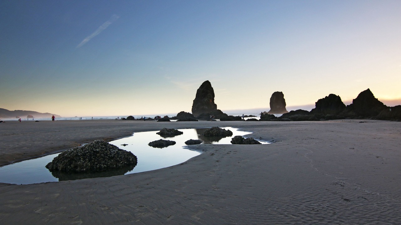 Photo of Outdoor in Tolovana Park