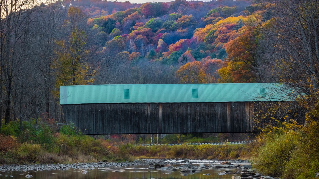 Photo of Others in West Woodstock