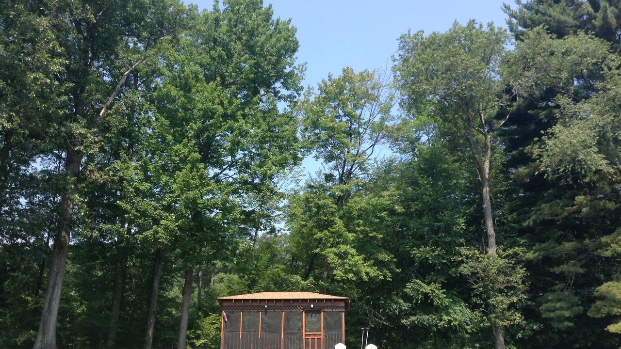 Photo of Others in Milton
