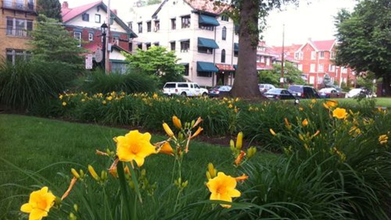 Photo of Outdoor in Charleston
