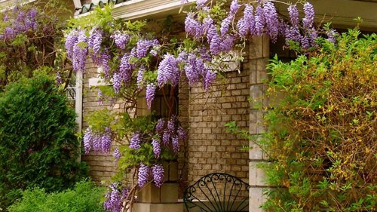 Photo of Outdoor in Charleston