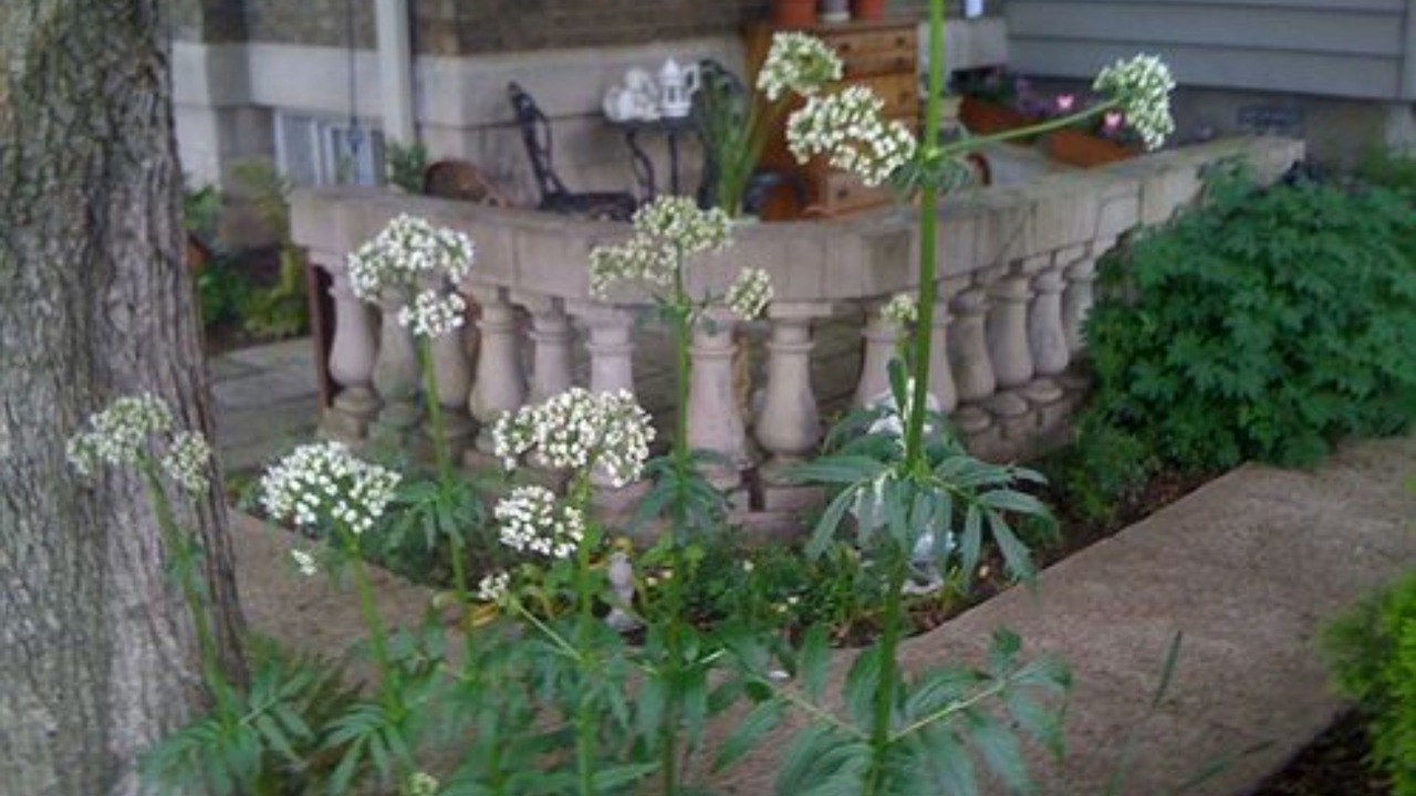Photo of Outdoor in Charleston