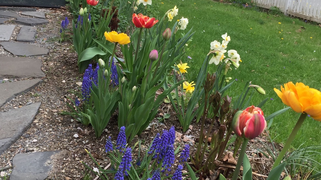 Photo of Outdoor in Sunderland