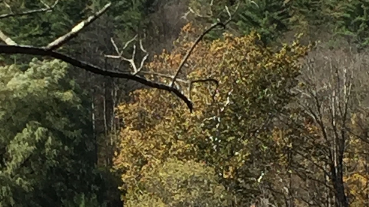 Photo of Outdoor in Sunderland