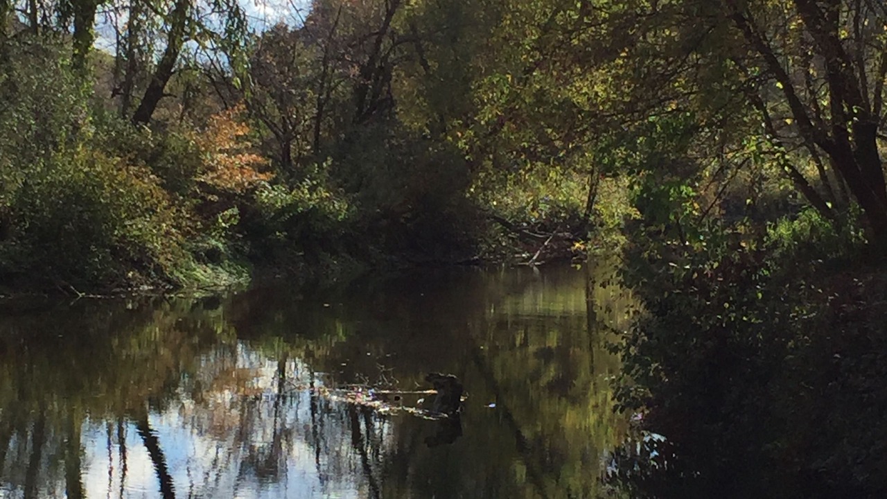 Photo of Outdoor in Sunderland