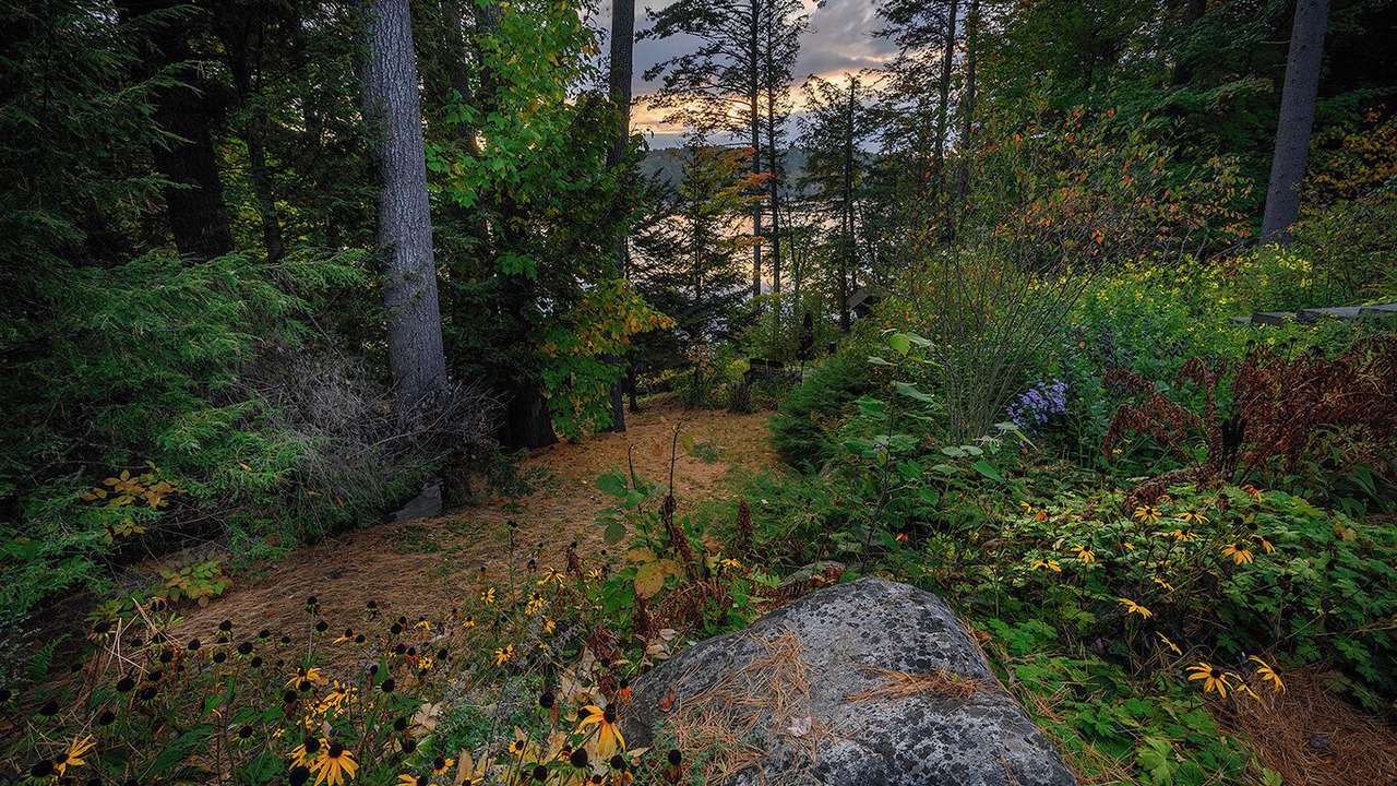 Photo of Outdoor in Chestertown