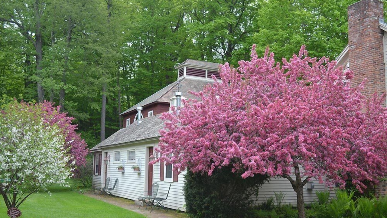 Photo of Outdoor in Arlington