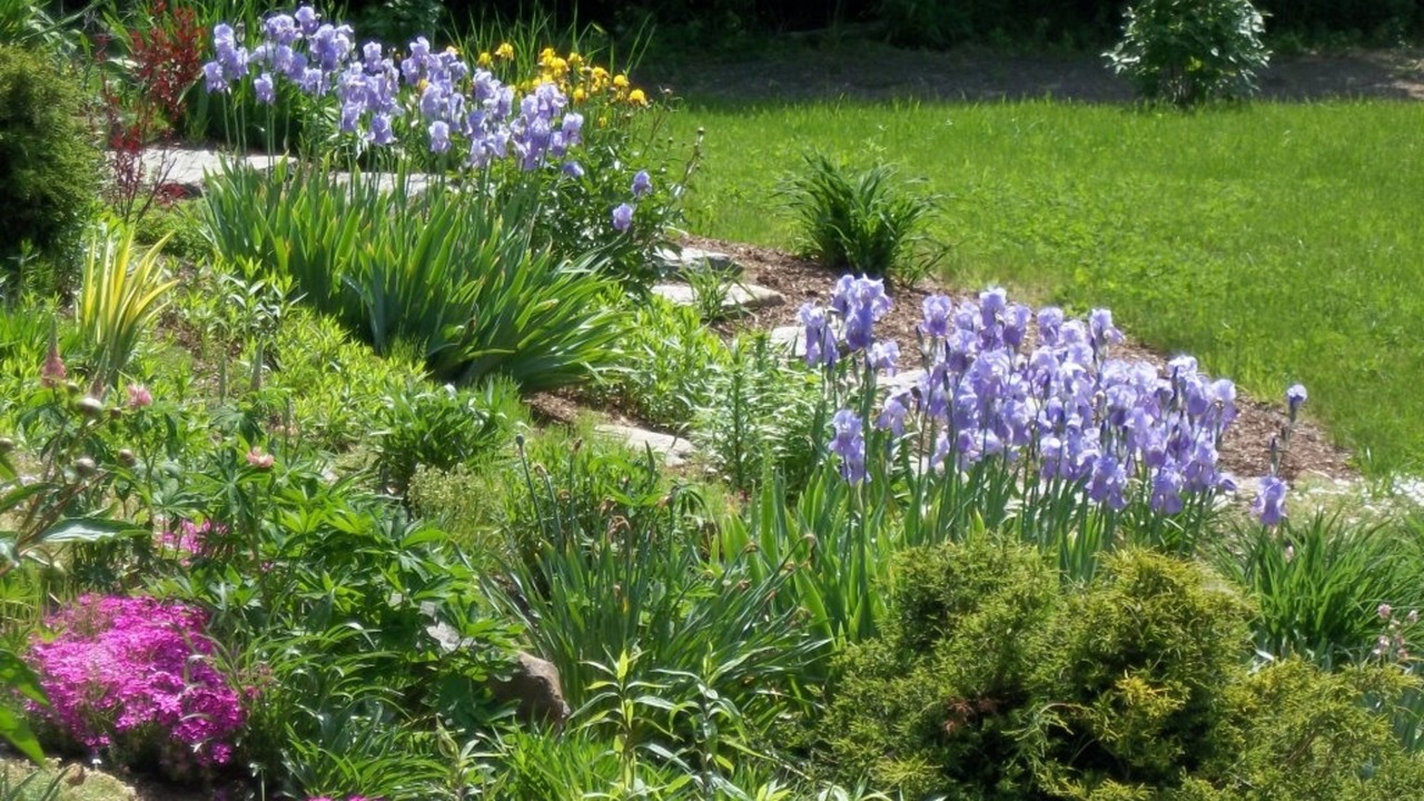 Photo of Outdoor in Hebron