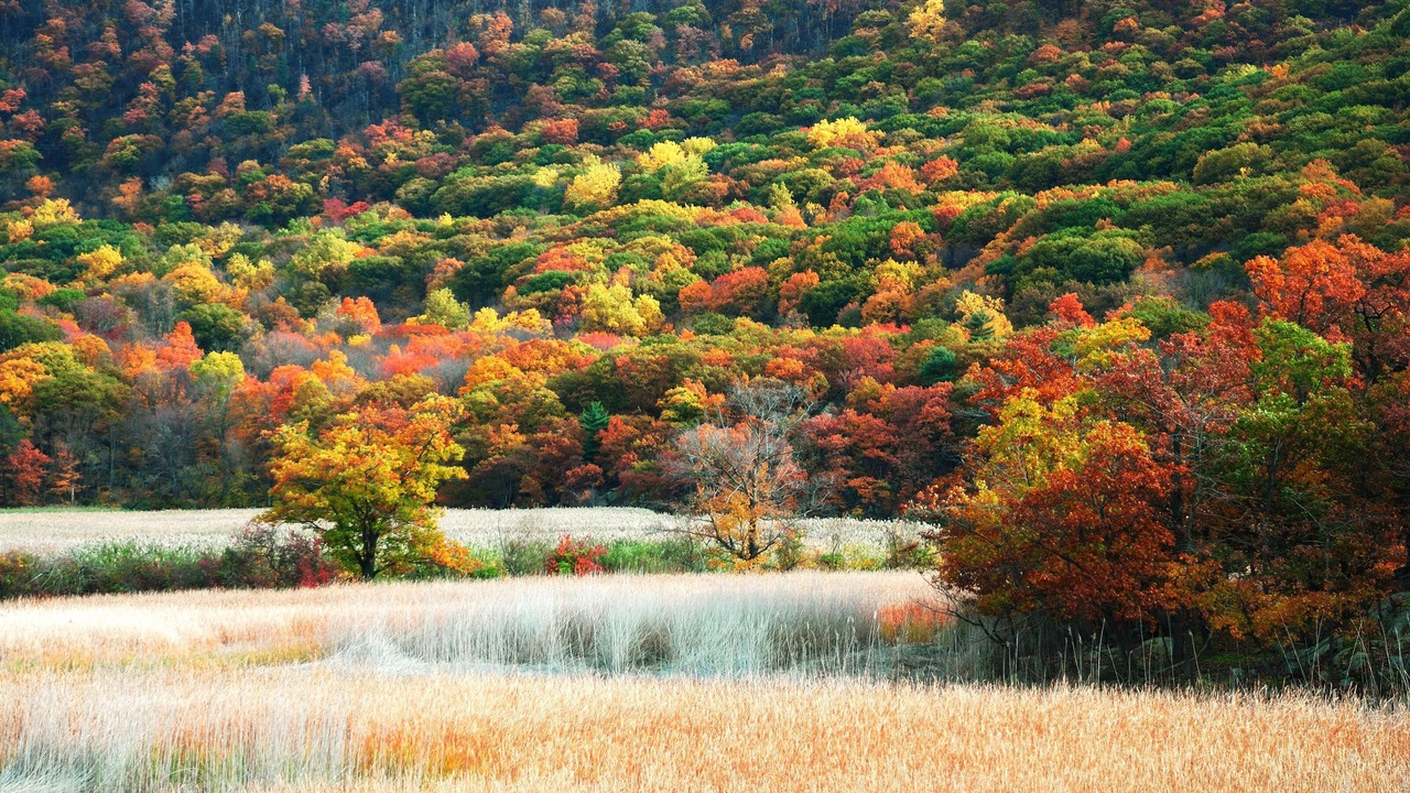 Photo of Others in Fishkill