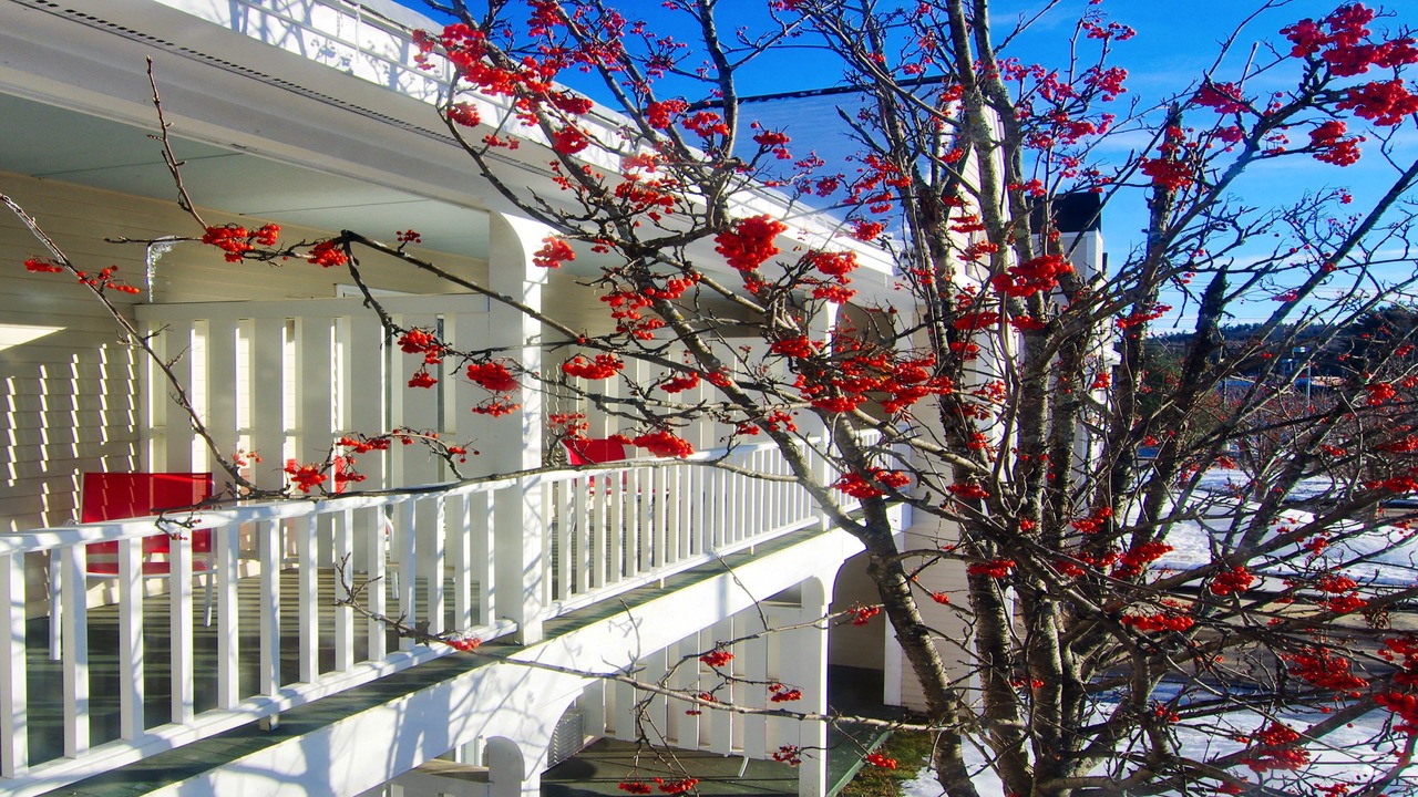 Photo of Outdoor in North Conway