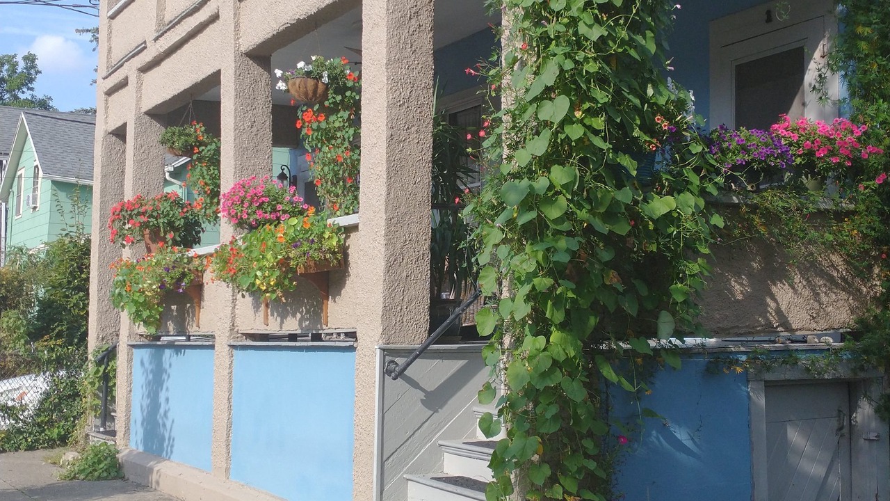 Photo of Outdoor in Ithaca