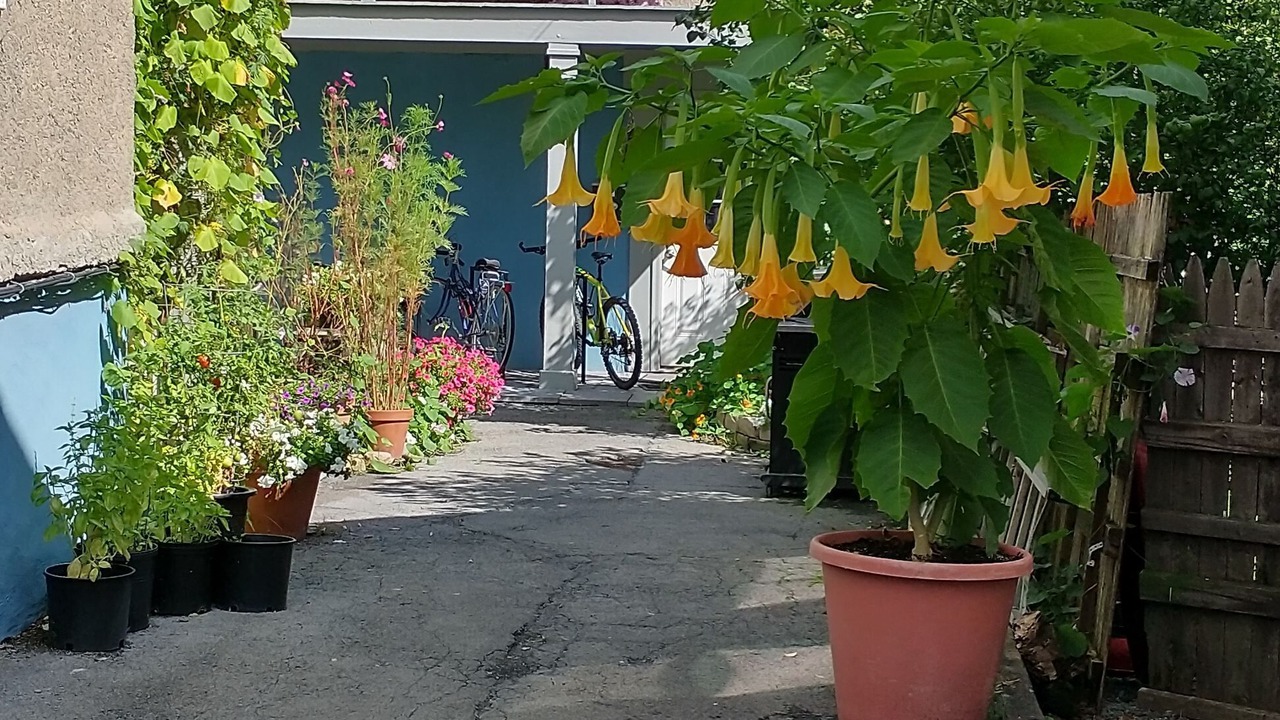 Photo of Outdoor in Ithaca