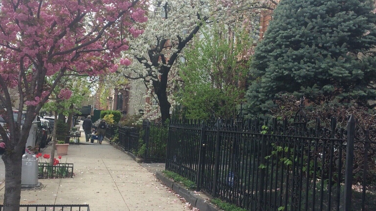 Photo of Outdoor in Bedford-Stuyvesant