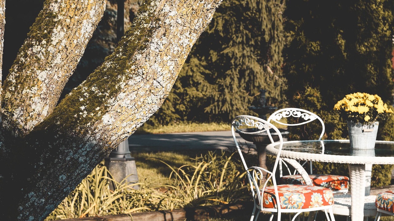 Photo of Outdoor in Craryville