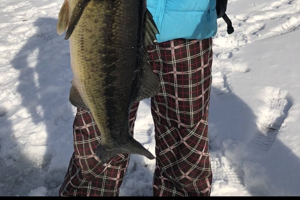 Photo of Others in Gilmanton