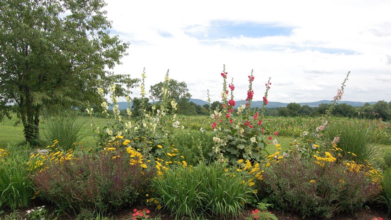 Photo of Outdoor in Stillwater