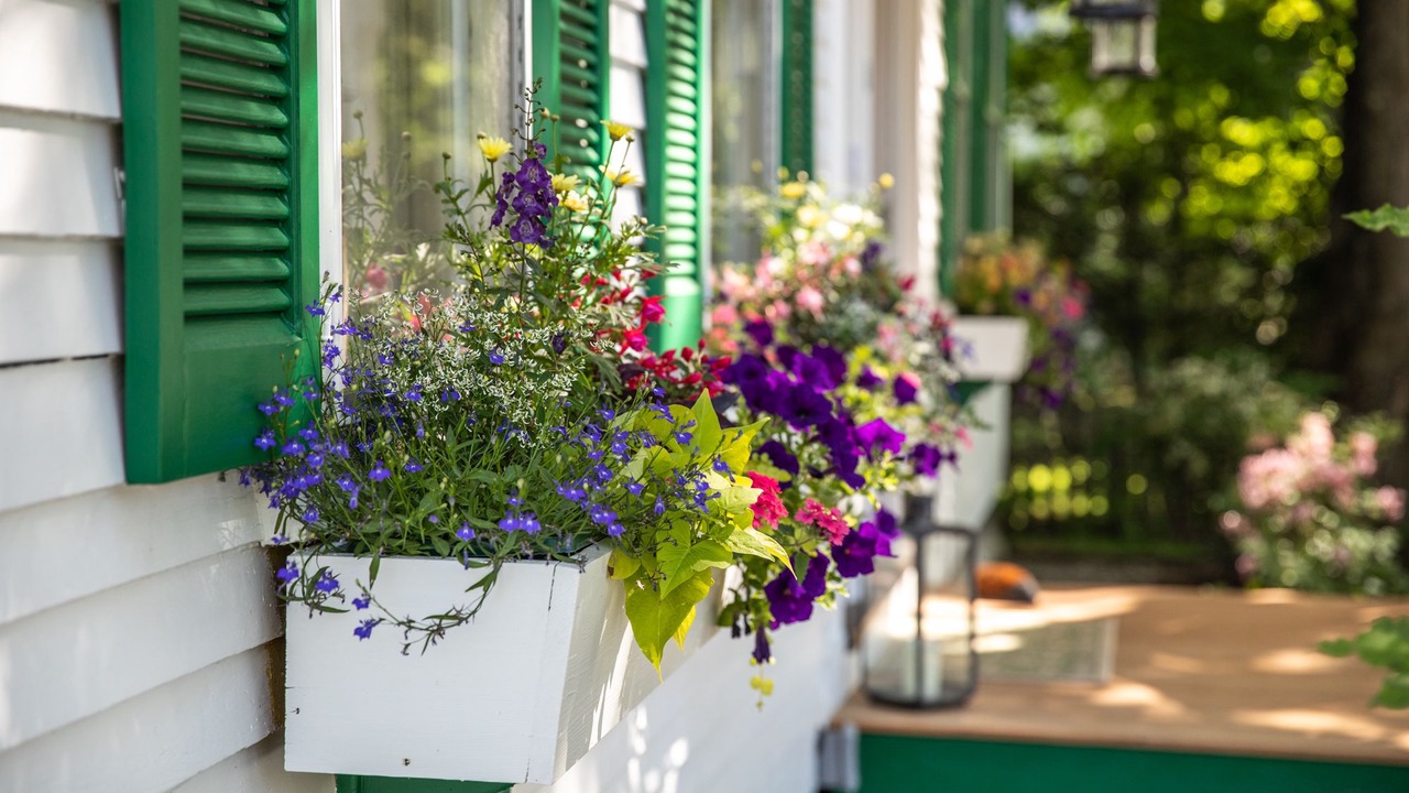 Photo of Outdoor in Woodstock