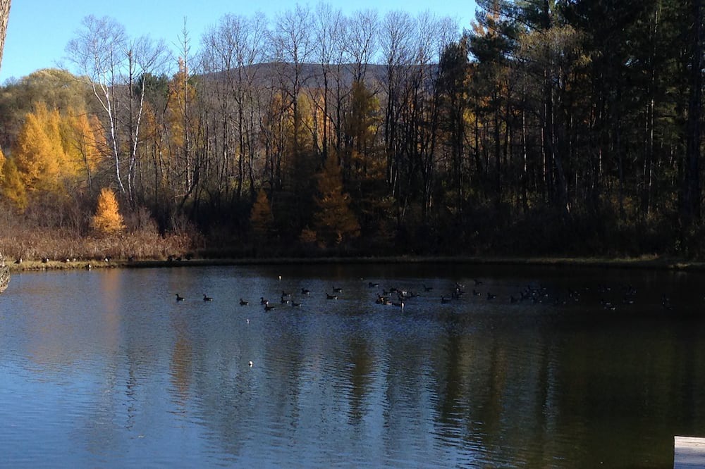 Photo of Others in Bennington