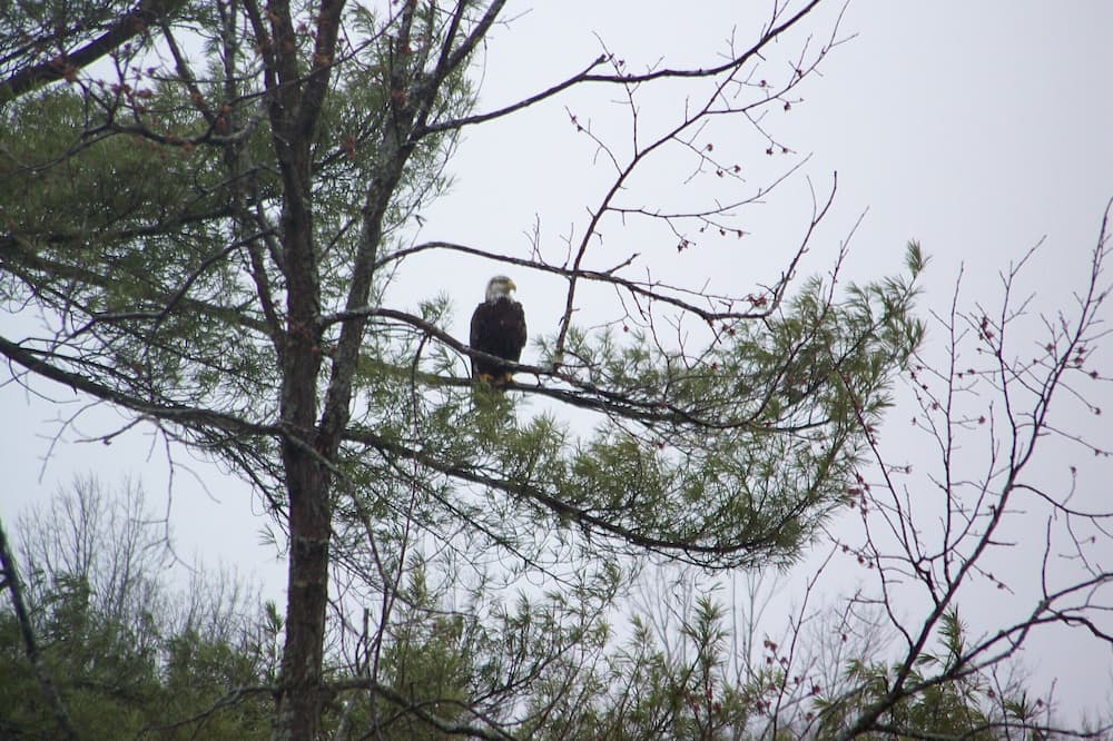 Photo of Others in Bennington