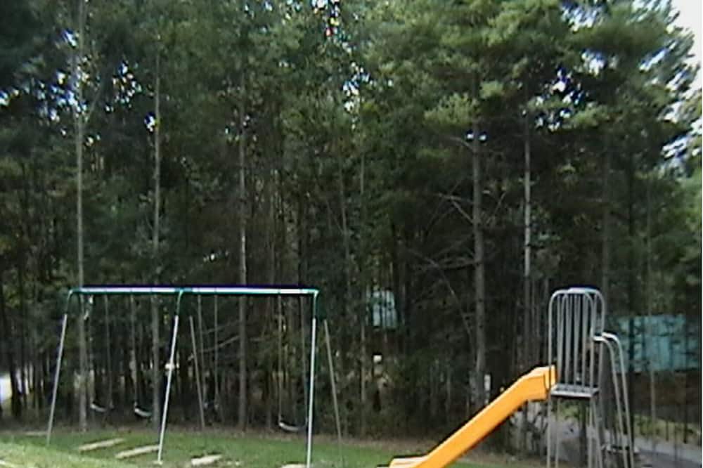 Photo of Others in Blue Jay