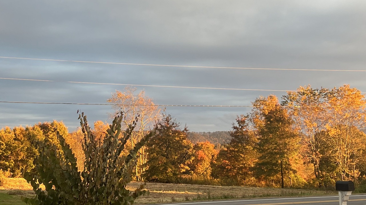 Photo of Outdoor in Elton