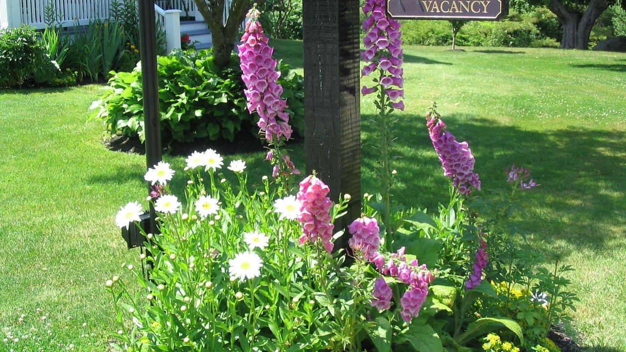 Photo of Outdoor in York Beach