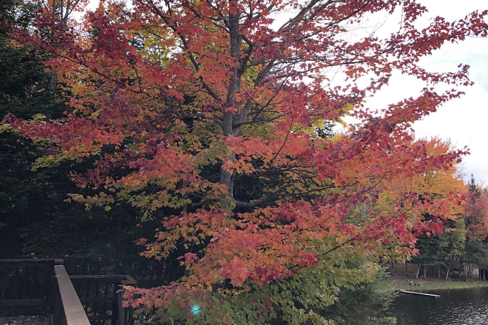 Photo of Outdoor in Eden