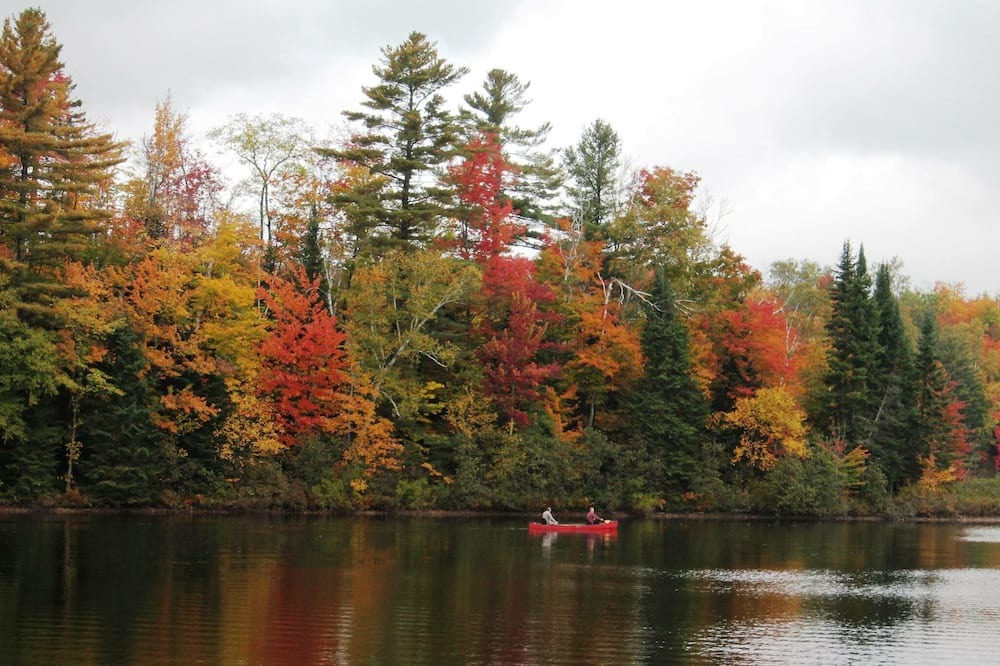 Photo of Outdoor in Eden