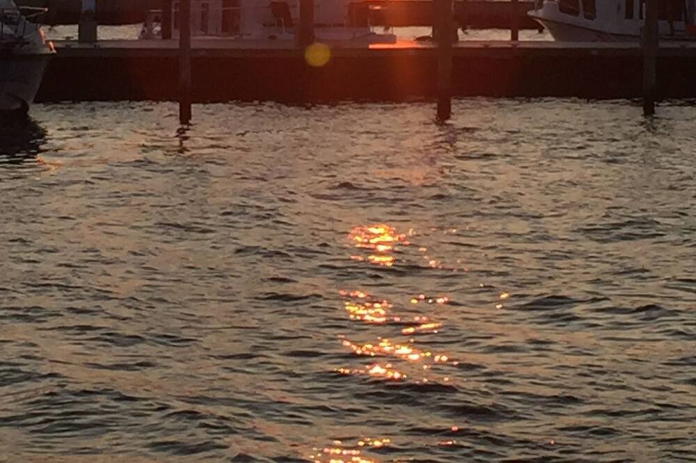 Photo of Others in Fire Island