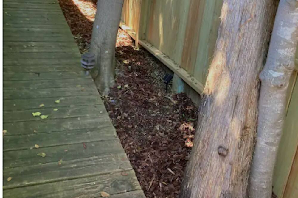 Photo of Others in Fire Island