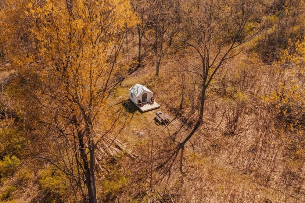 Photo of Others in Rock Stream