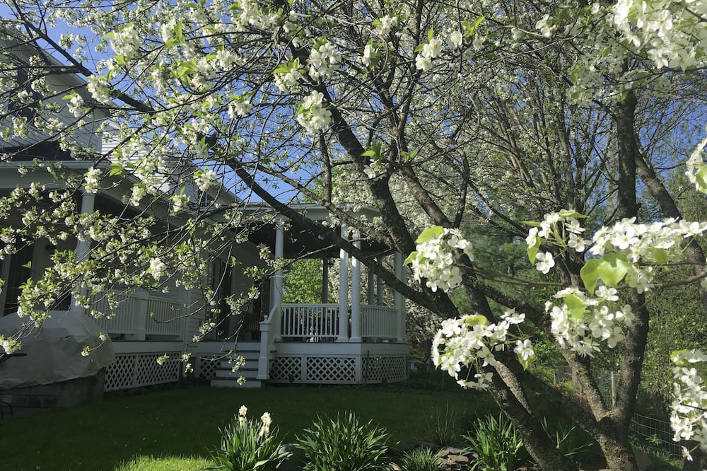 Photo of Outdoor in Williston North