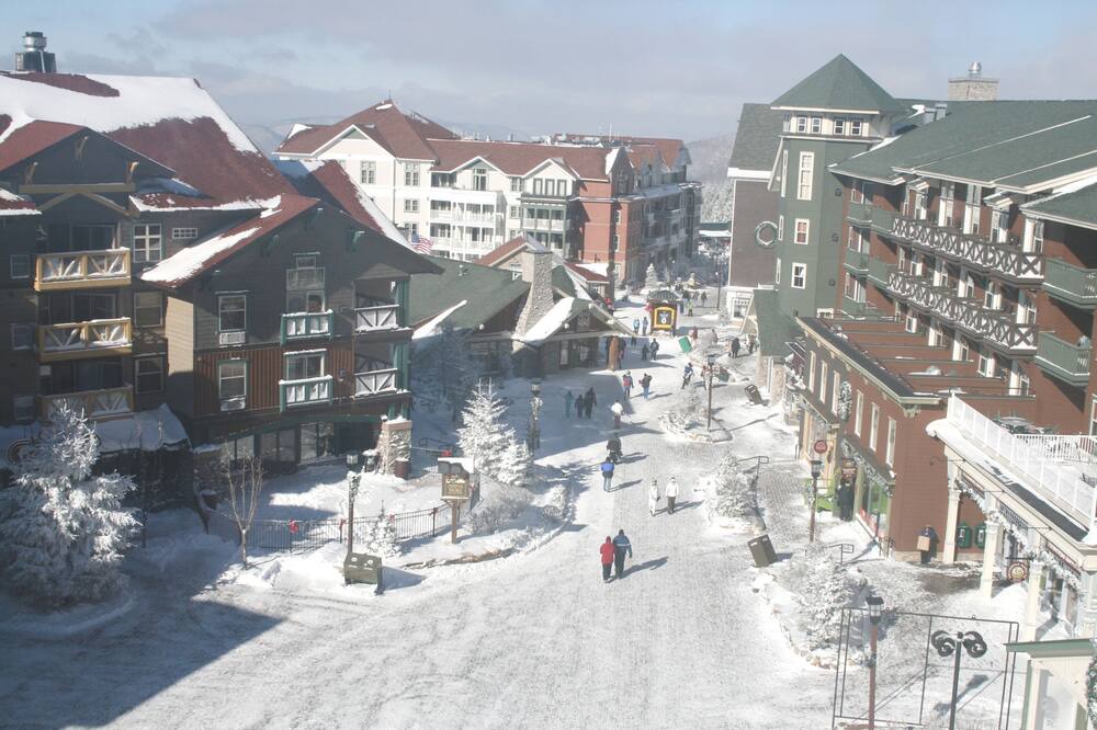 Photo of Others in Snowshoe