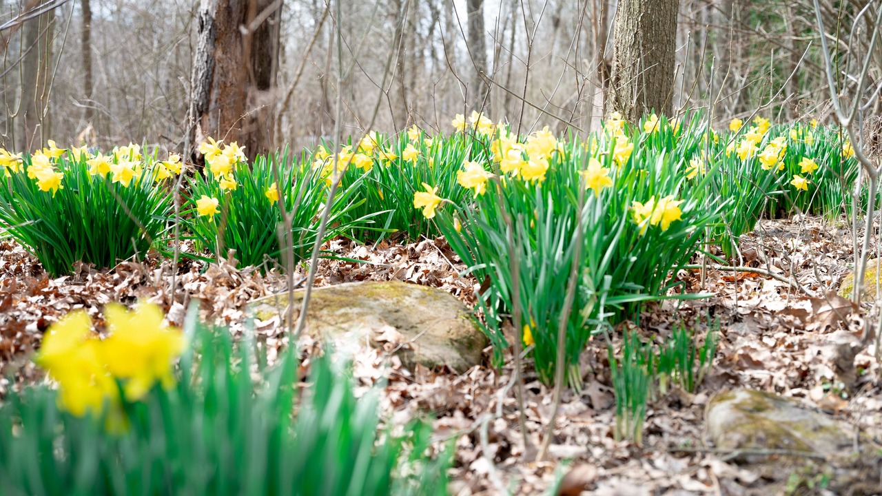 Photo of Outdoor in Hudson