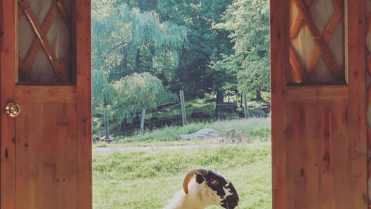 Photo of Others in Friendsville