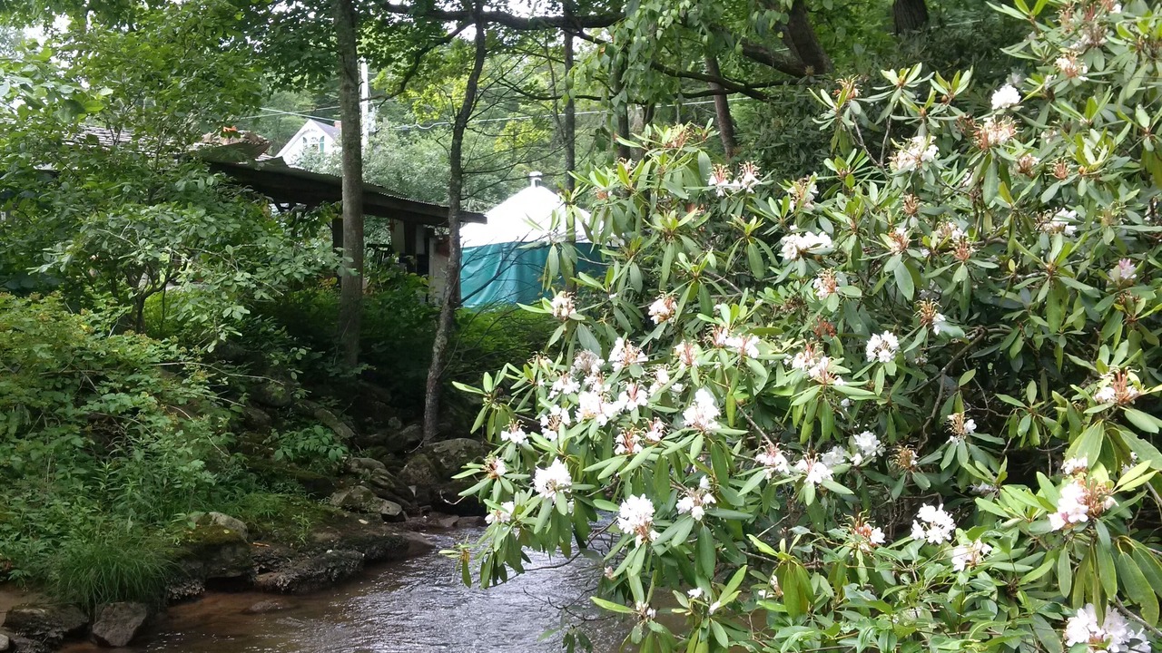 Photo of Outdoor in Friendsville