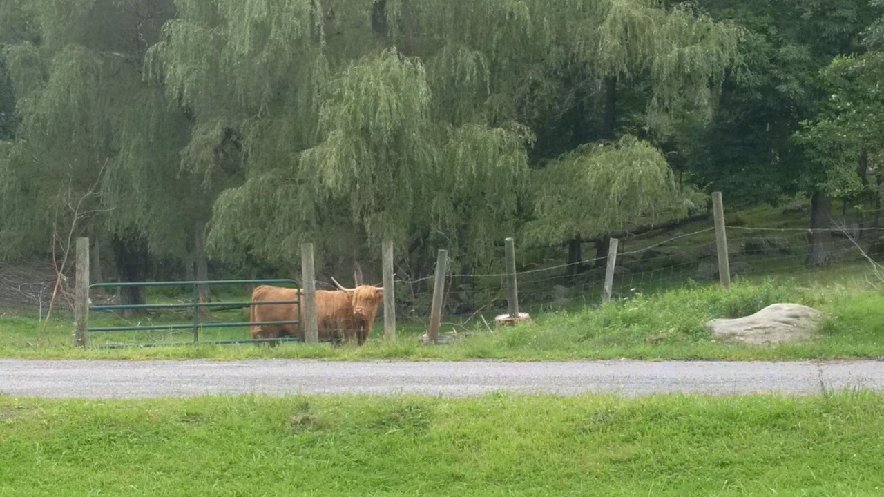 Photo of Outdoor in Friendsville