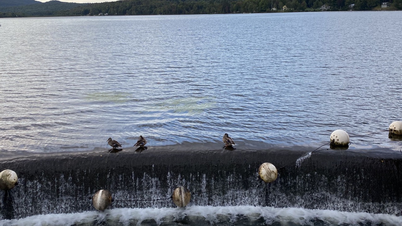 Photo of Others in Lake Elmore