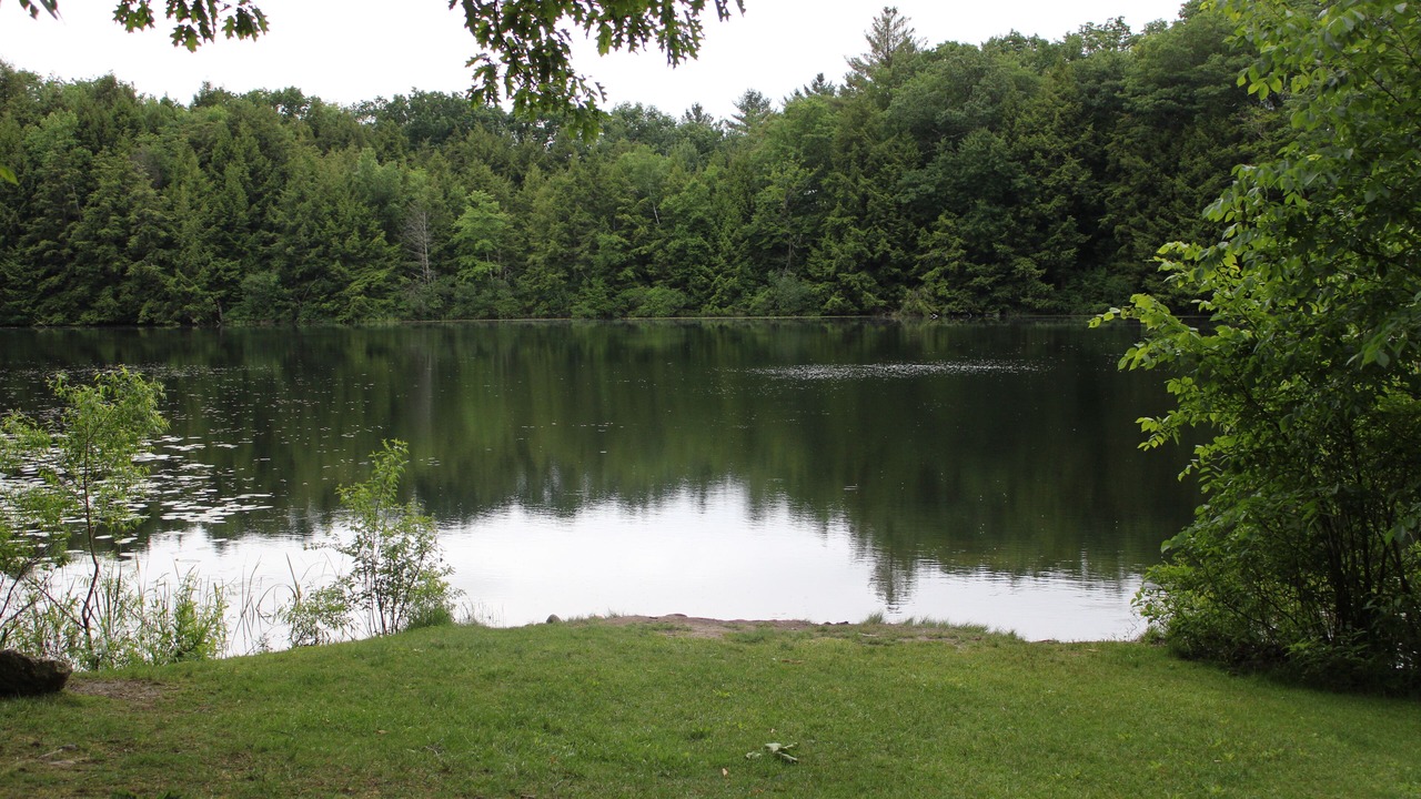 Photo of Outdoor in Manchester Center