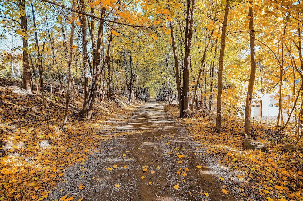 Photo of Outdoor in Dexter