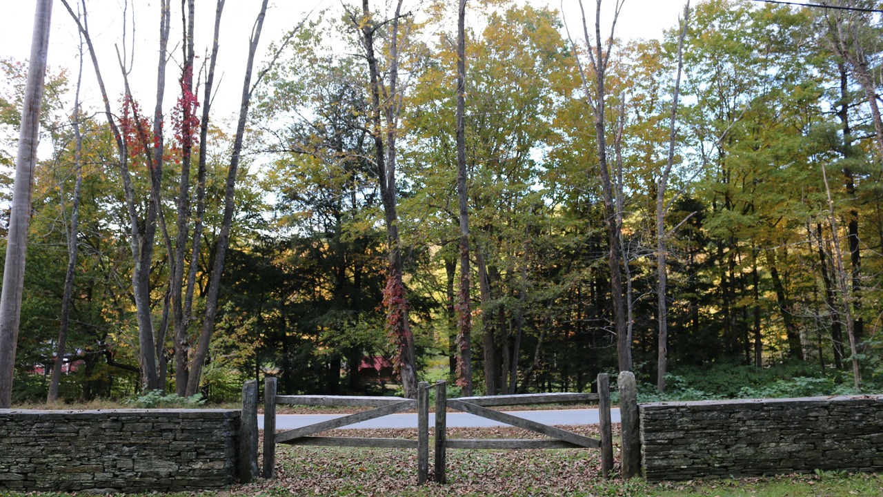 Photo of Outdoor in Grafton