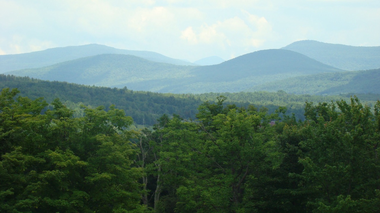 Photo of Others in Windham