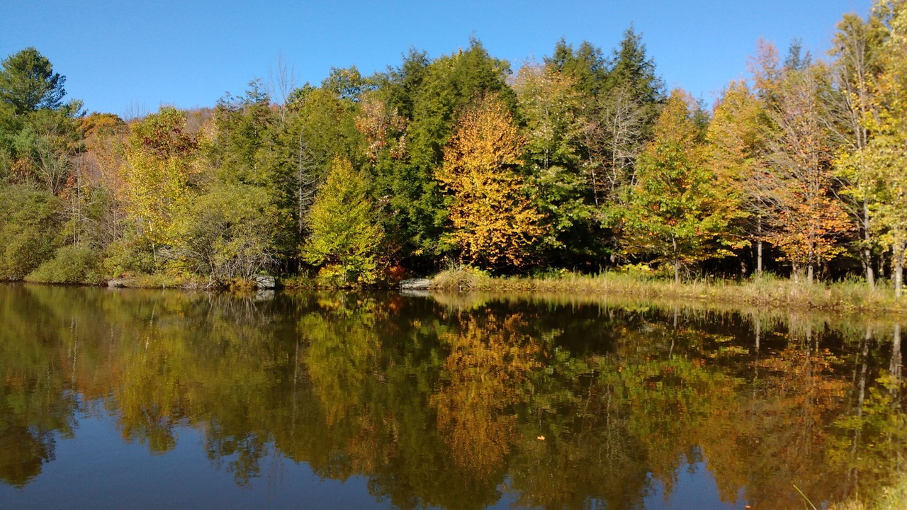 Photo of Outdoor in Windham