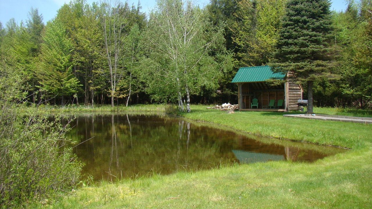 Photo of Outdoor in Windham