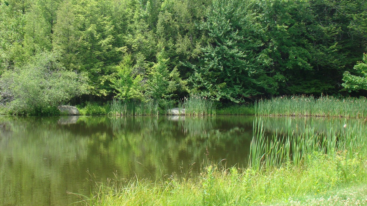 Photo of Outdoor in Windham