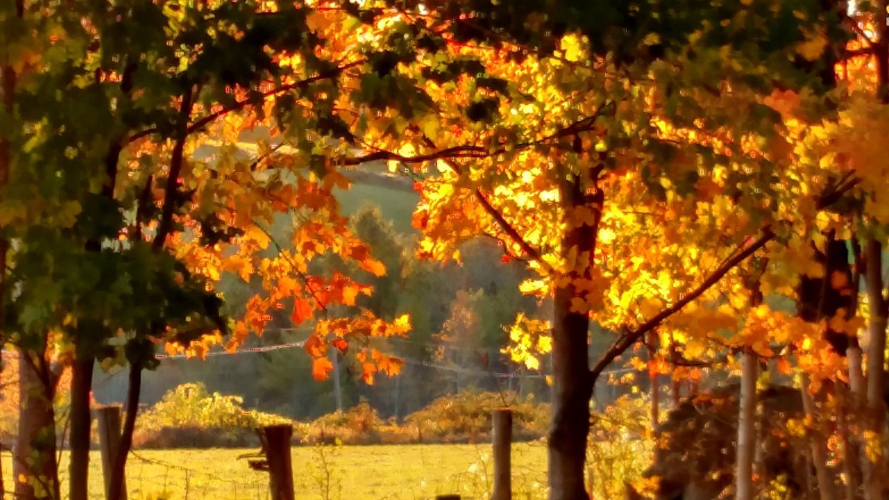 Photo of Outdoor in Shrewsbury
